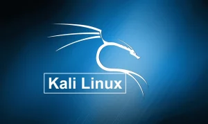 kali linux